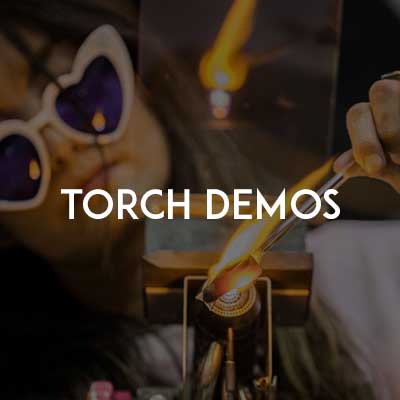 TorchDemos
